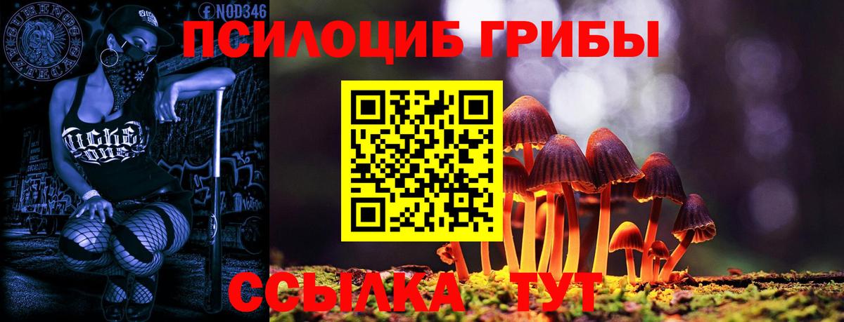 Галлюциногенные грибы мухоморы  Вход с VPN  Псилоцибиновые грибы мицелий  где купить наркоту  Якутск 
